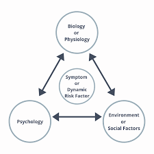 Check spelling or type a new query. What Is The Biopsychosocial Model How Does It Apply To Rehabilitation Treatment Rehab U Practice Solutions