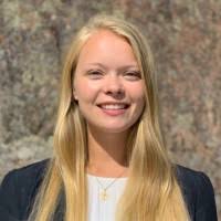 100+ perfiles de «Dyvik»