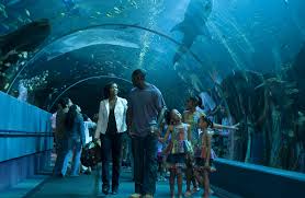 Using only the highest quality ingredients. Daddy S Little Girls 2007 Imdb