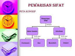 Pembahasan uji kompetensi bab 4. Jawaban Uraian Uji Kompetensi Bab 7 Ipa Kelas 9 Smp Halaman 90 Pewarisan Sifat Pada Makhluk Hidup Basbahanajar Com