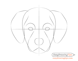 Sketch the lower neck and chest. Dog Head Front View Drawing Step By Step Easydrawingtips Dog Drawing Tutorial Step By Step Drawing Animal Embroidery Designs