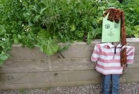 Maybe you would like to learn more about one of these? Do You Have A Scarecrow In Your Garden Love My Salad