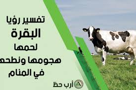 تفسير حلم شراء العجل وذبح العجل و سلخه. ØªÙØ³ÙŠØ± Ø±Ø¤ÙŠØ© Ù„Ø­Ù… Ø§Ù„Ø¨Ù‚Ø±Ø© Ù…Ø¹Ù†Ù‰ Ù‡Ø¬ÙˆÙ… Ù†Ø·Ø­ Ù„ÙˆÙ† Ø§Ù„Ø¨Ù‚Ø±Ø© ÙÙŠ Ø§Ù„Ù…Ù†Ø§Ù… Ø§Ø±Ø¨ Ø­Ø¸