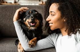 Caton Crossing Animal Hospital: Veterinarian in Plainfield, IL.