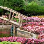 Free jigsaw puzzles online full screen. Phocqfy4denbim