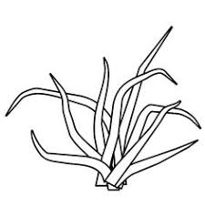 Explore 623989 free printable coloring pages for your you can use our amazing online tool to color and edit the following grass coloring pages. 34 Grass Coloring Pages Ideas Coloring Pages Grass Coloring Pictures