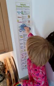Review Of Liz Cooks Beautiful And Informative Wall Charts