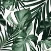 ❤ get the best plain background wallpaper on wallpaperset. 3