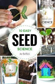 This post may contain affiliate links, which means i may receive a commission if you click on a link and purchase something. Plant Activities For Preschool Spring Science Activities Seed Science Science Experiments Kids