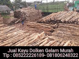 Kayu ini tahan pembusukan dari kadar keasaman tanah. Pagar Dari Kayu Dolken Desain Pagar Terbaru