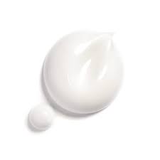 Hydra Beauty Camellia Water Cream Illuminating Hydrating Fluid Chanel Diy Beauty Face Diy Beauty Hacks Beauty