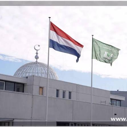 images?q=tbn:ANd9GcRmkdw-lGLBOpJqrlxWc0ZTKch4BUye70c1ufQk9M3_G4PqdLnlh3SrjYg&s=10