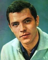 Discover 220 Alain Delon & Gustavo Rojo & Vincent Cassel & Omar Sharif &  Antonio Sabato & Claude Giraud and alain delon ideas