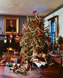 Princeton Tree Care