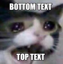 See more ideas about memes, text memes, funny memes. Meme Creator Funny Bottom Text Top Text Meme Generator At Memecreator Org
