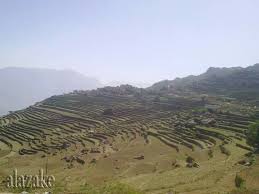صور من بلادي اليمن المحويت Outdoor Farmland Vineyard
