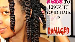 Natural Hair 5 Ways To Know If Your Hair Is Healthy All Hair Types Youtube