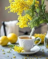 Sincere felicitări cu ocazia zilei tale de naștere! O Vinere Placuta Anitanna S Blog La Cafeneaua Trandafirul Rosu