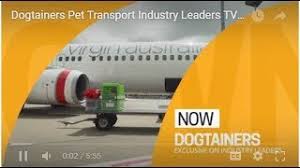 Multimodale transporte in deutschland und europa. Dogtainers Animal Pet Transport Domestic And International