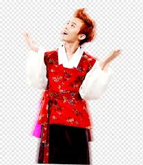 Chinakohl 79%, wasser, rettich 2%,knoblauch 1,3%, salz, . South Korea G Dragon Hanbok Bigbang Korean Kimono Gdragon Girl Png Pngwing