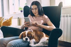 We review the best pet insurance companies based on cost, coverage, and more. The Best Pet Insurance Companies Of 2021 Reviews Com