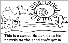 Nyc department of city planning subject: Desert Animal Adaptations Book Made By Teachers