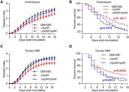 Unknown, ouvir, baixar · anjo do amor joenes tempo: A Bacterial Effector Protein Uncovers A Plant Metabolic Pathway Involved In Tolerance To Bacterial Wilt Disease Sciencedirect
