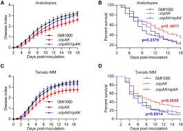 Mercia e mylca vol, 1. A Bacterial Effector Protein Uncovers A Plant Metabolic Pathway Involved In Tolerance To Bacterial Wilt Disease Sciencedirect