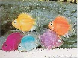 It's been a long time since i've seen them do it, so i guess they sorted things out. Pin On Cute Little Things