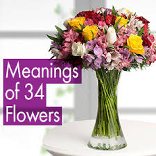 Our short happy birthday wishes are designed to suit a variety of situations. Best Birthday Wishes And Messages Online Lolaflora