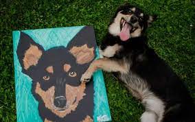 Anyone can do project pet, regardless of art experience. Paint Your Pet Dogs Cats And More Painting With A Twist
