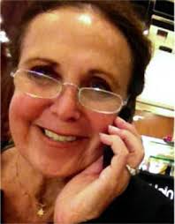 Amazon.com: STEAM Through the Year