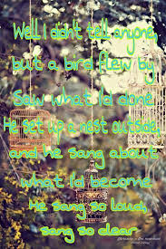 Bird Song Florence And The Machine Lyrics Florence The Machine Bird Song Lyrics Florenceandthemachine Bird Song Lyrics Lyrics Songs