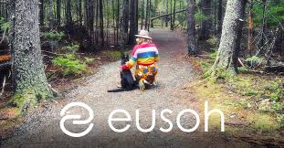 Although the underwriter is not yet rated by am best, it received an a rating by demotech, which also evaluates property and casualty insurers. Cooperative Pet Health Insurance A New Way To Insure Your Furry Friend Petplate