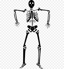 Maybe you would like to learn more about one of these? Kerangka Manusia Kerangka Tulang Gambar Png