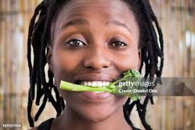 142 Otis Hale Stock Photos, High-Res Pictures, and Images