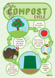 The Compost Cycle Poster Cycle For Kids Compost Science Projects For Kids