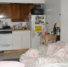 mini kitchens: kitchens for a tiny