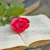 Though young boys may dismiss the study of flowers as something too girly, they will soon discover that flowering plants are a truly fascinating subject. Https Encrypted Tbn0 Gstatic Com Images Q Tbn And9gcrdef1umw3ehcalbhxz0cbo8i15yedeoeur974o0d7ysscf Pre Usqp Cau