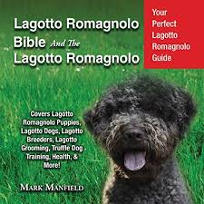 Check out our available lagotto romagnolo puppies for sale! Lagotto Romagnolo Bible And The Lagotto Romagnolo Audiobook Mark Manfield Audible Co Uk