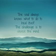Yoga quotes to elevate your mind. Body Mind Quotes Tumblr Blog Posts The Lotus Blossom Shop Dogtrainingobedienceschool Com