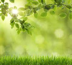 pin by volker vieth on natur powerpoint background design background nature