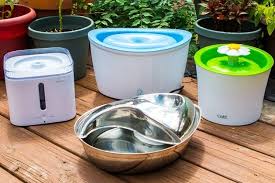 I recently took my shetland sheepdog pup to his first swimming lesson as a dogs gone swimming, a local doggy pool in portland, oregon.a swimming pool with a dog swim coach is the best way to get a new dog used to the water for the following reasons: The Best Water Fountain For Cats And Dogs In 2021 Reviews By Wirecutter