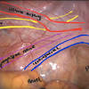 Kl gynaecologist is on facebook. 1