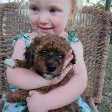 Ivy Madilyn “Madi” Davidson Whitaker age 23, of Monticello