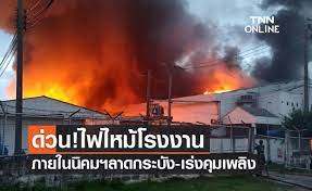 คพ.ตรวจรอบ รง.ไฟไหม้ย่านลาดกระบัง พบน้ำแดงขุ่น สัตว์น้ำลอยตาย ยันไม่ก่อมลพิษต่อ ปชช.โดยรอบ Bt8nsxodlv8wfm