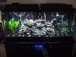 Image Result For Black Sand Fish Tanks Akvarium