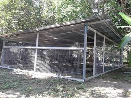 Projek reban ayam kampung simple dan jimat. Reban Ayam Kos Rendah Ayam Kampung Tradisional Facebook