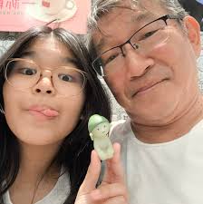 What is the Facebook disappearing like feature?