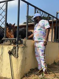 He grew up with his family in mombasa where he was born. Mike Sonko On Twitter Please Leo Musionge Mbaya Juu Ya Pajama Family Haiku Area Nilikuwa Indoors Domestic Farming Manenos